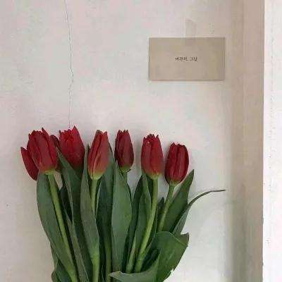 聚仙h5变态版下载